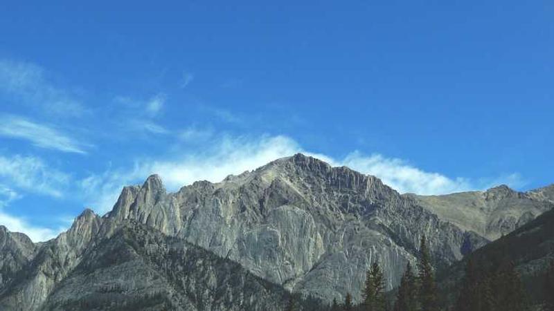 Canlı Slot ve Bahis Deneyimi